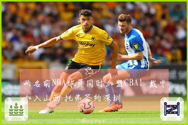 两名前NBA球员同时加盟CBA！戴申加入山西 托弗签约深圳