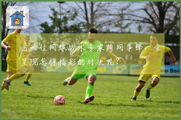 当两位网球战术专家跨网争锋，会呈现怎样精彩的对决呢？